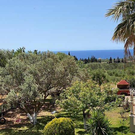 Lemon Tree Apartments A D Argostoli  Eksteriør billede